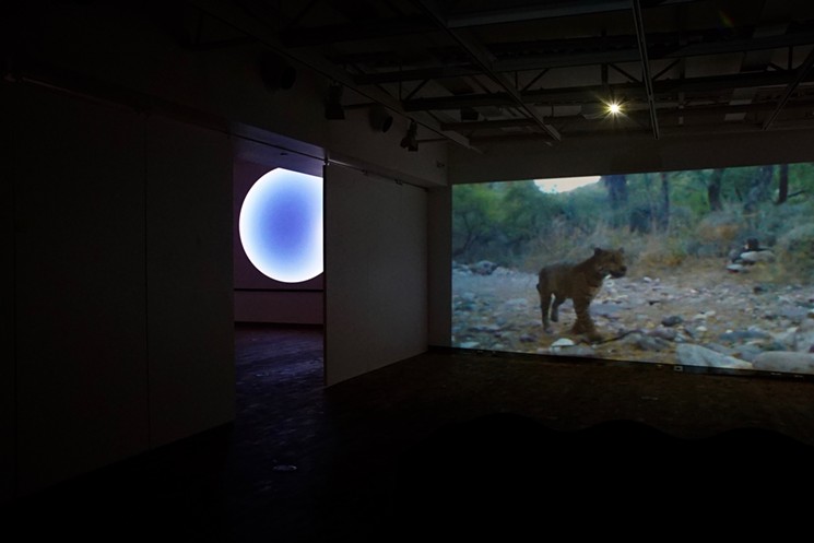 Installation view for "Tension and Territory" at The Gallery at MCC. - LAUREN STROHACKER