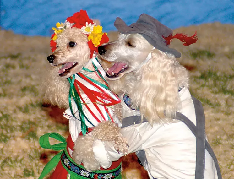 It’s all in a day’s rumba for these members of Zoppé — an Italian Family Circus. - COURTESY OF CHANDLER CENTER FOR THE ARTS