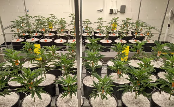 Judge Clears Way for Arizona Social Equity Drawing on Friday