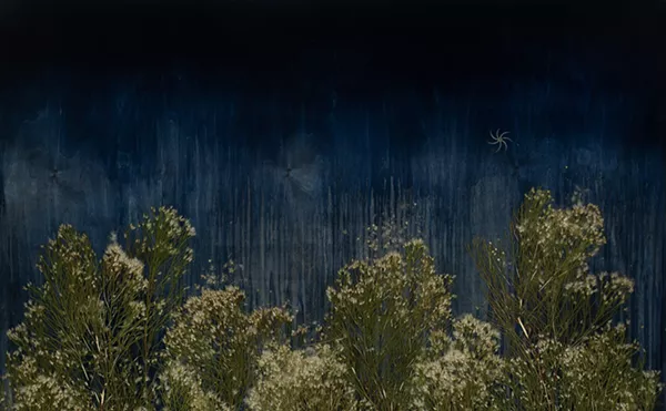 Mayme Kratz's 'Dark Garden' Art Exhibit at Lisa Sette Gallery Explores the Mysteries of the Desert