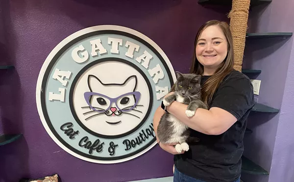 No 'Paws' in Service After La Gattara Cat Cafe's Founder Passes the Torch