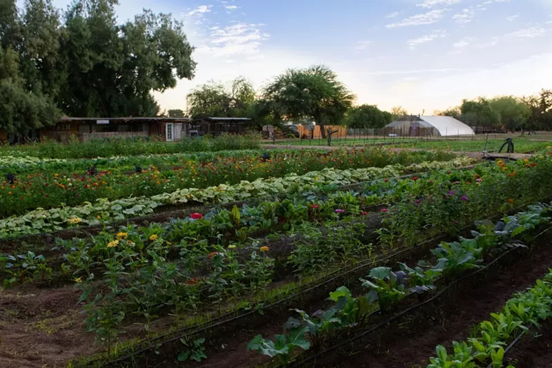 13 Greater Phoenix Food Events This New Year Phoenix New Times