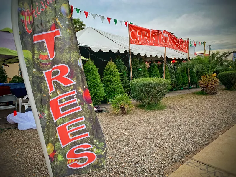 On Pines and Needles Stories From a Christmas Tree Lot Phoenix New Times