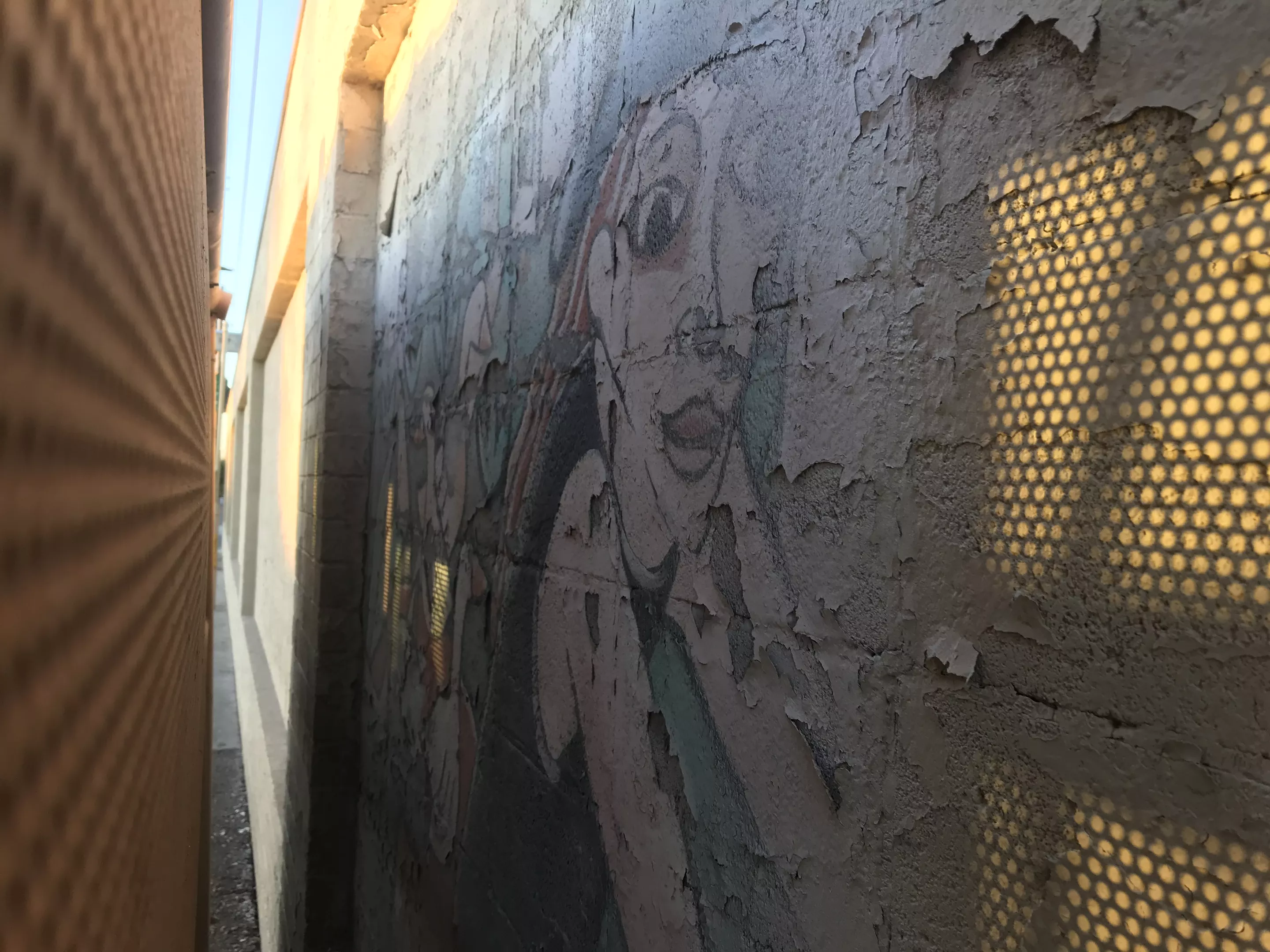 The Iconic Rose Johnson Mural in Phoenix Is Gone Phoenix New Times