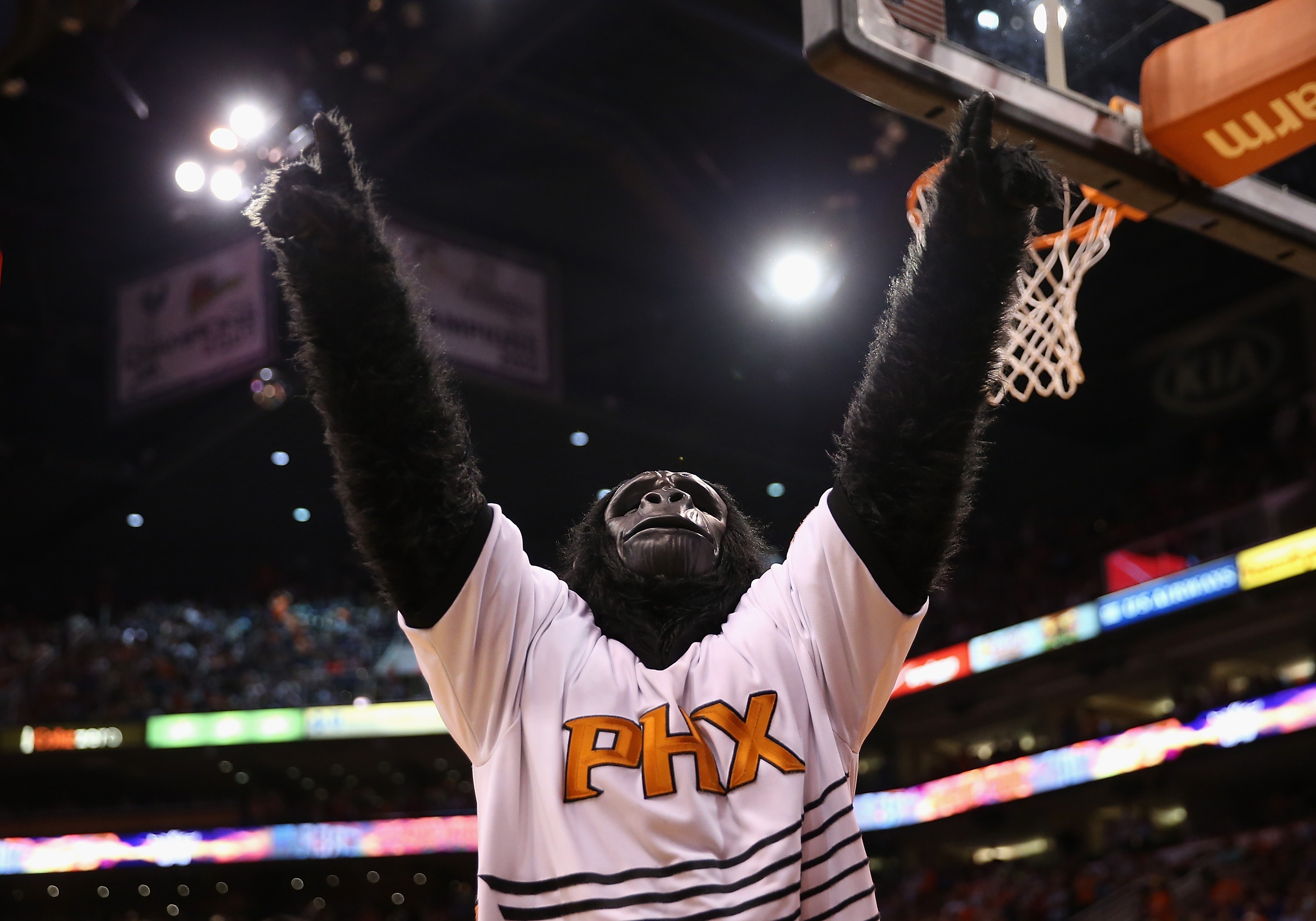 Get ready to rumble перевод. Талисман Финикс Санз горилла. Phoenix Suns Gorilla.