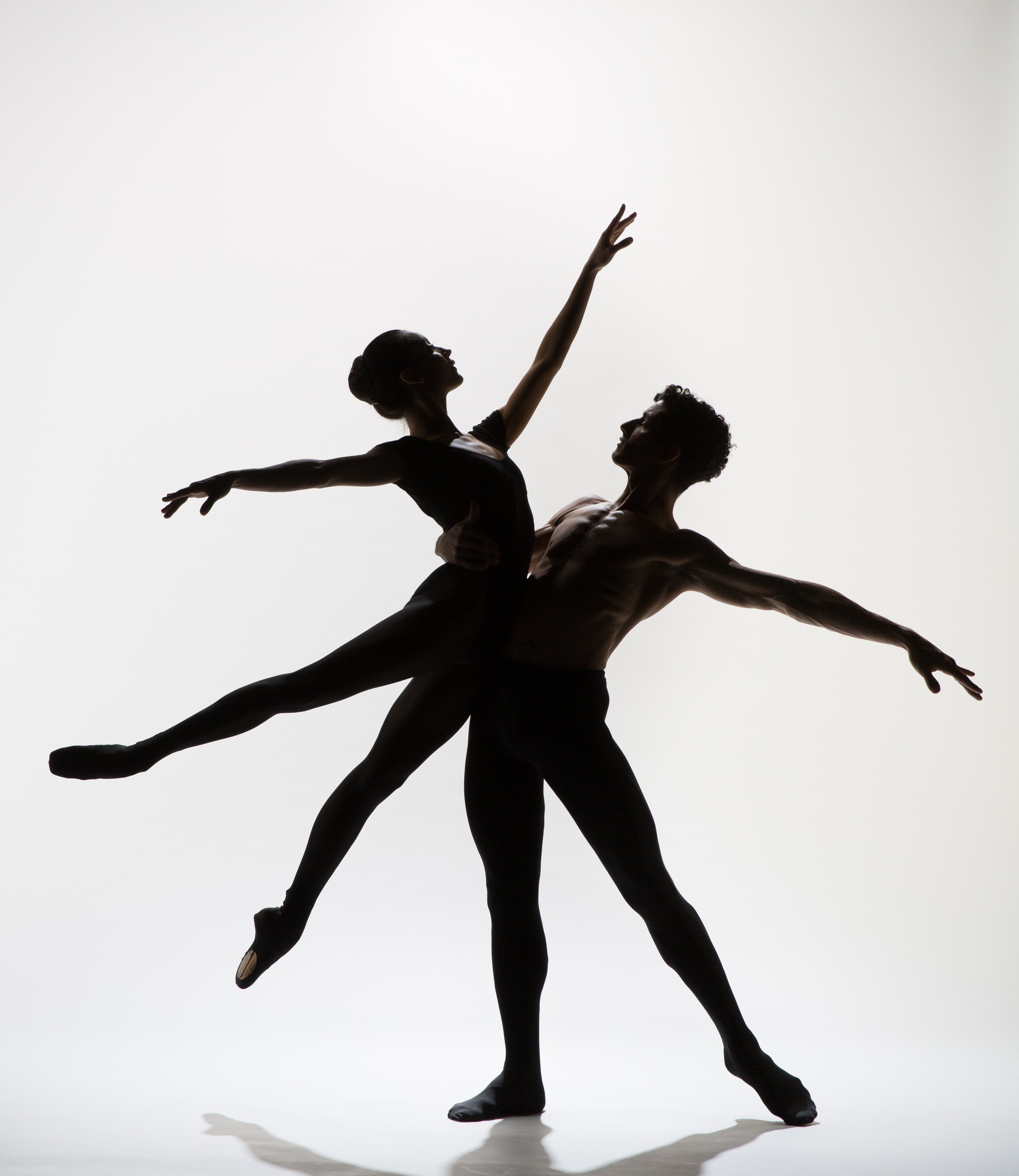 Dansez Le Duo Avec Les Mélanges De Poudre Dans L'obscurité Image stock -  Image du ballet, hommes: 109993343