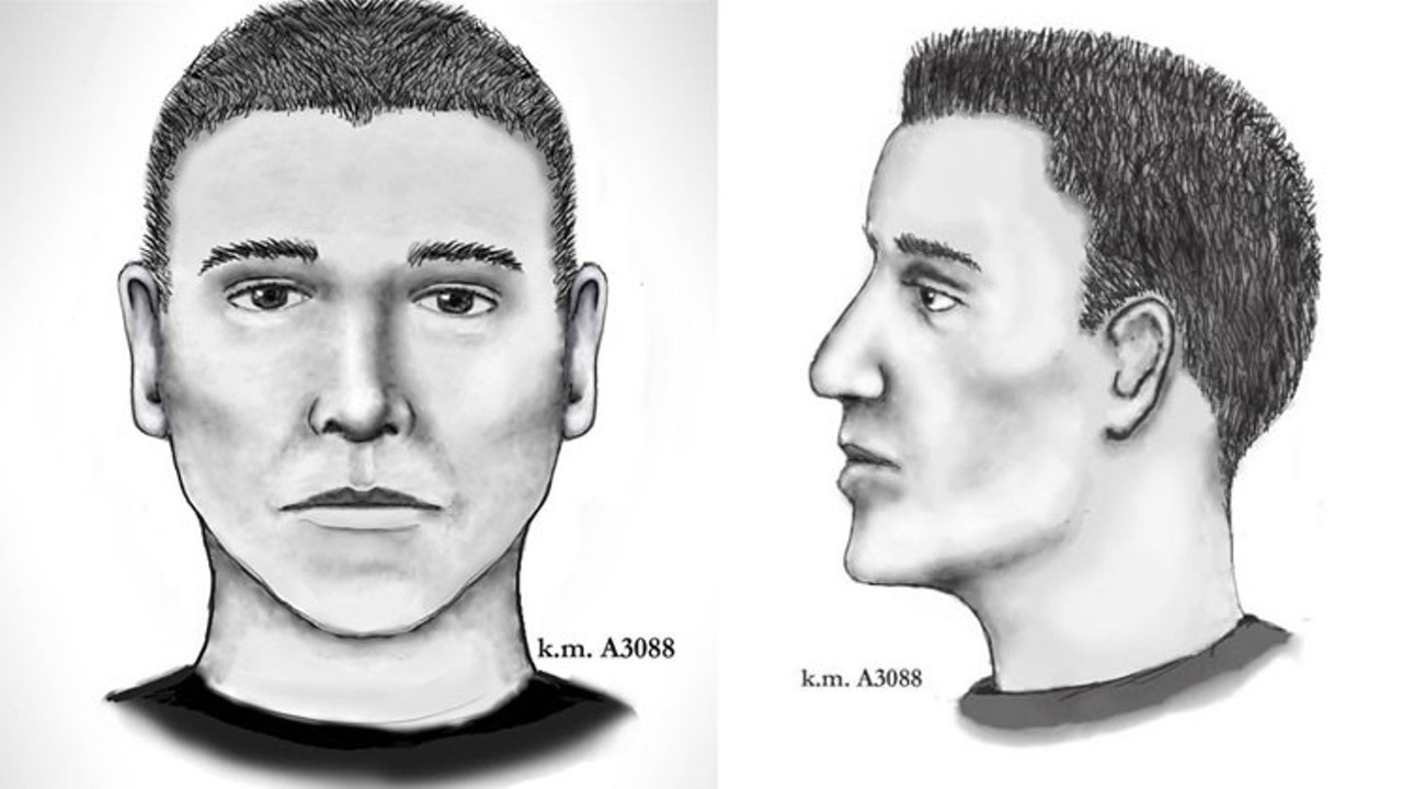 Police sketches of the Serial Shooter.