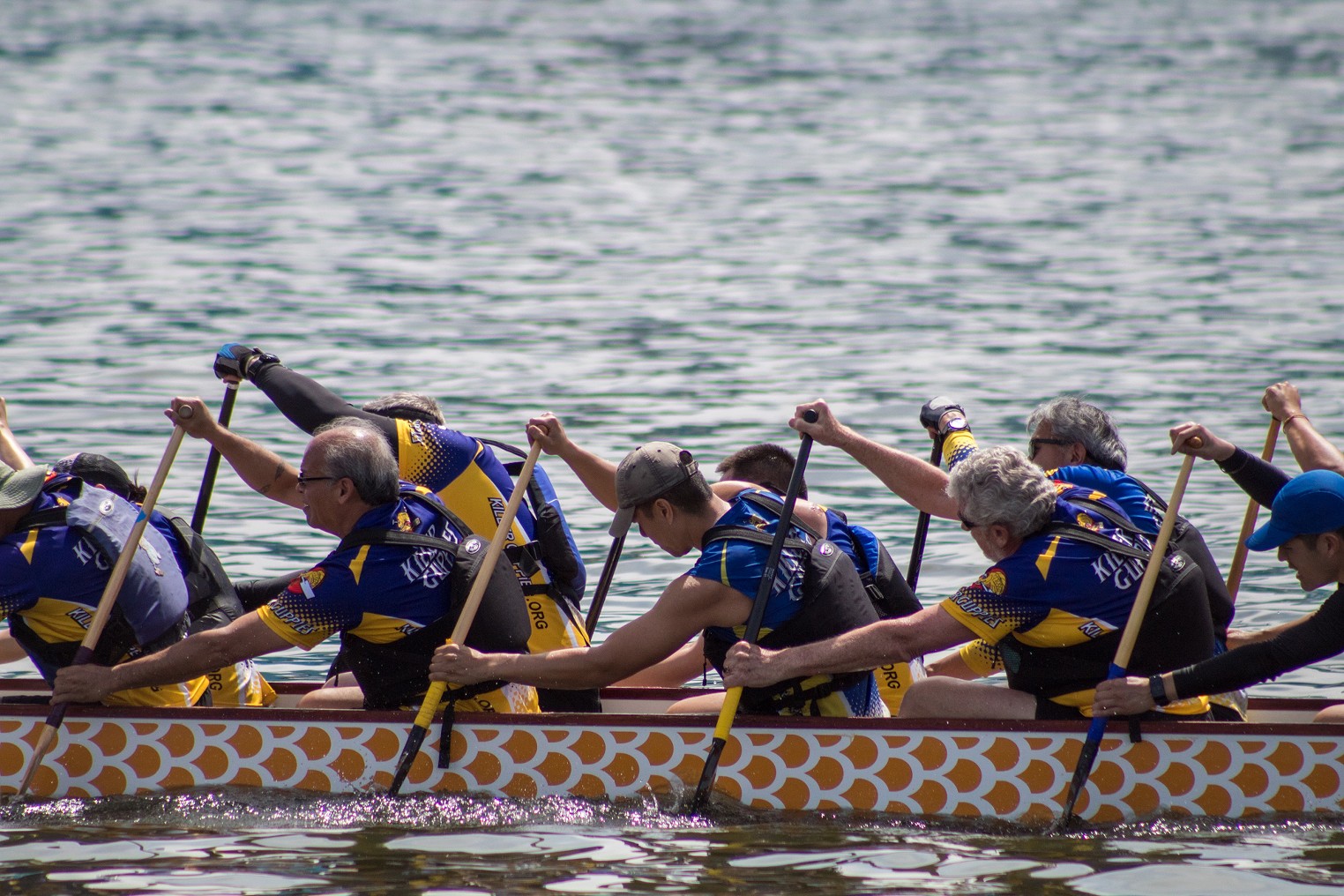 A look into the 15th annual Arizona Dragon Boat Festival Phoenix New