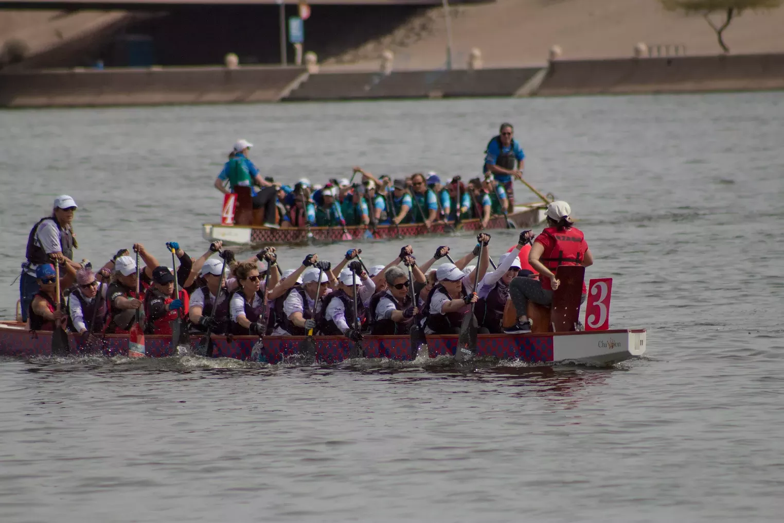 A look into the 15th annual Arizona Dragon Boat Festival Phoenix New