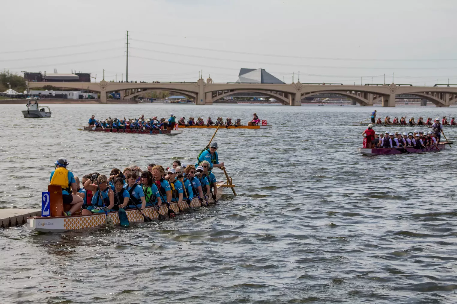 A look into the 15th annual Arizona Dragon Boat Festival Phoenix New