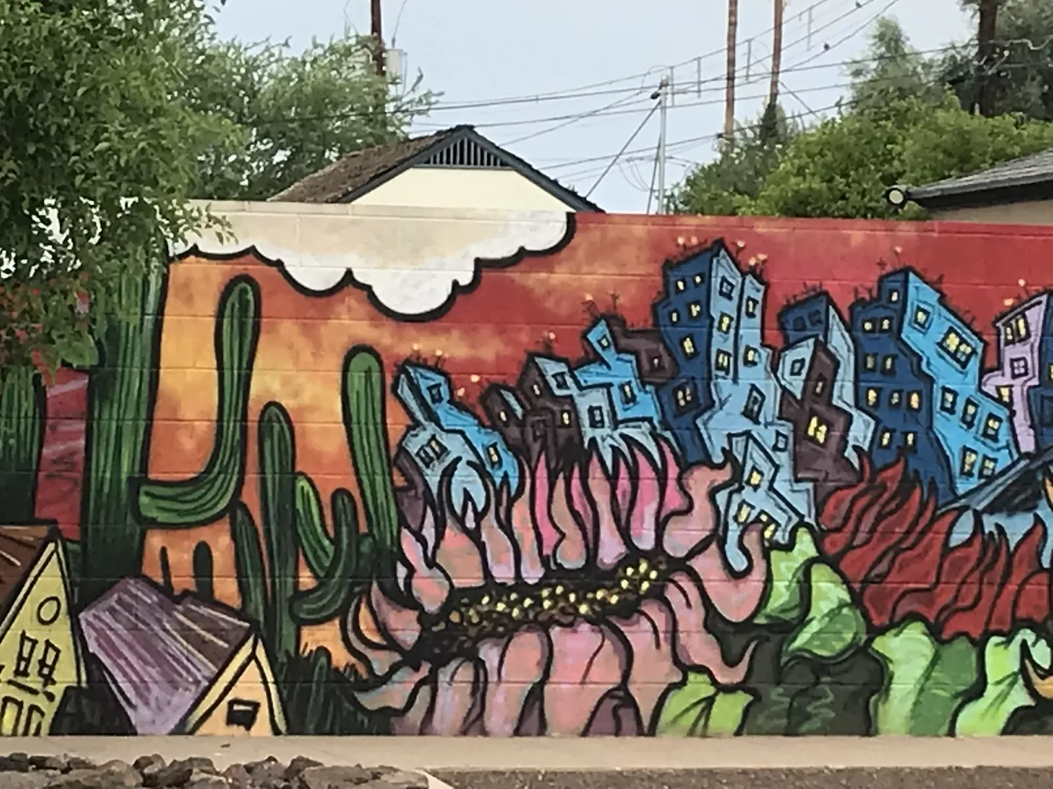 Willo Murals — Here's What All the Fuss is About Phoenix New Times