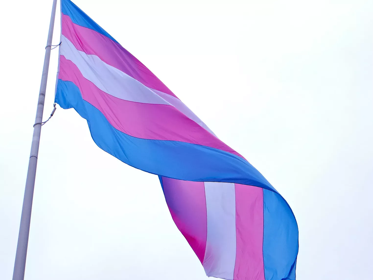 Arizona Court Opinion Affirms Trans People's Right to Name Change | Phoenix  New Times