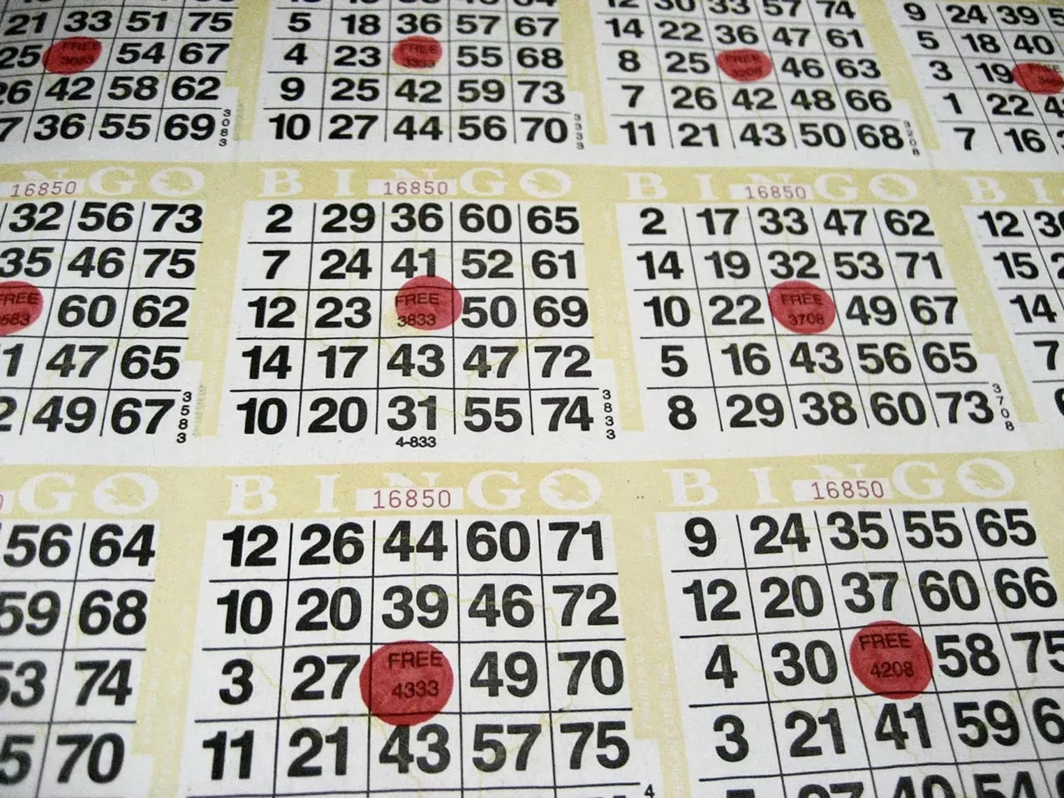 Five free things to do this week in Phoenix Phoenix New Times