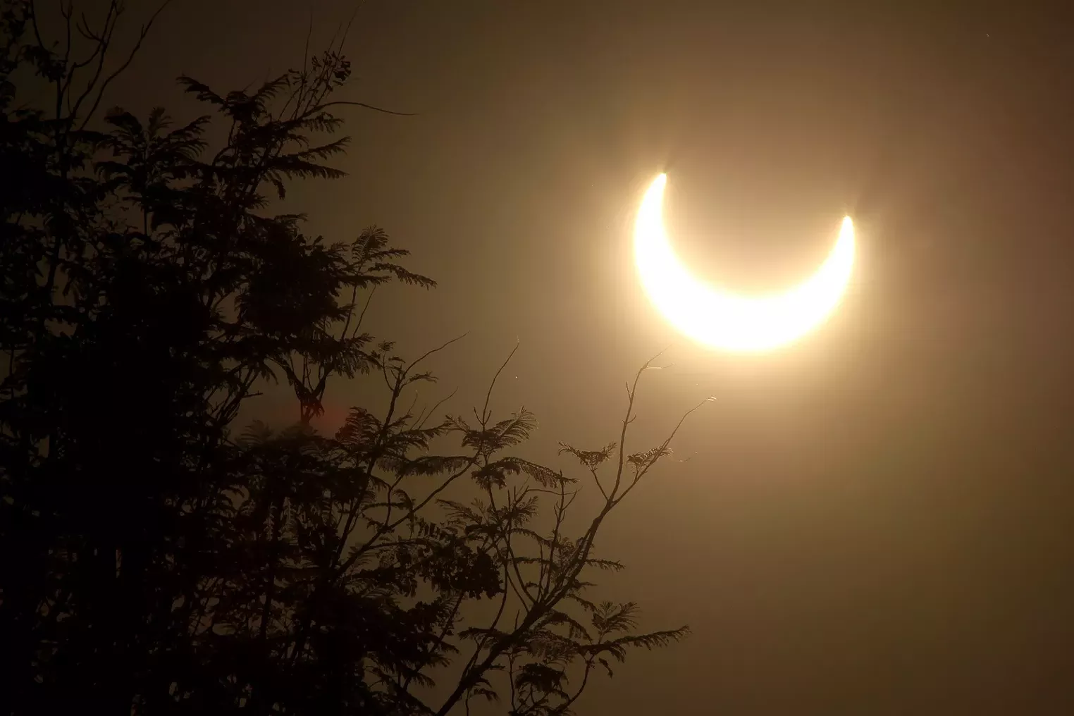 Annular Solar Eclipse in Pictures Phoenix Phoenix New Times The