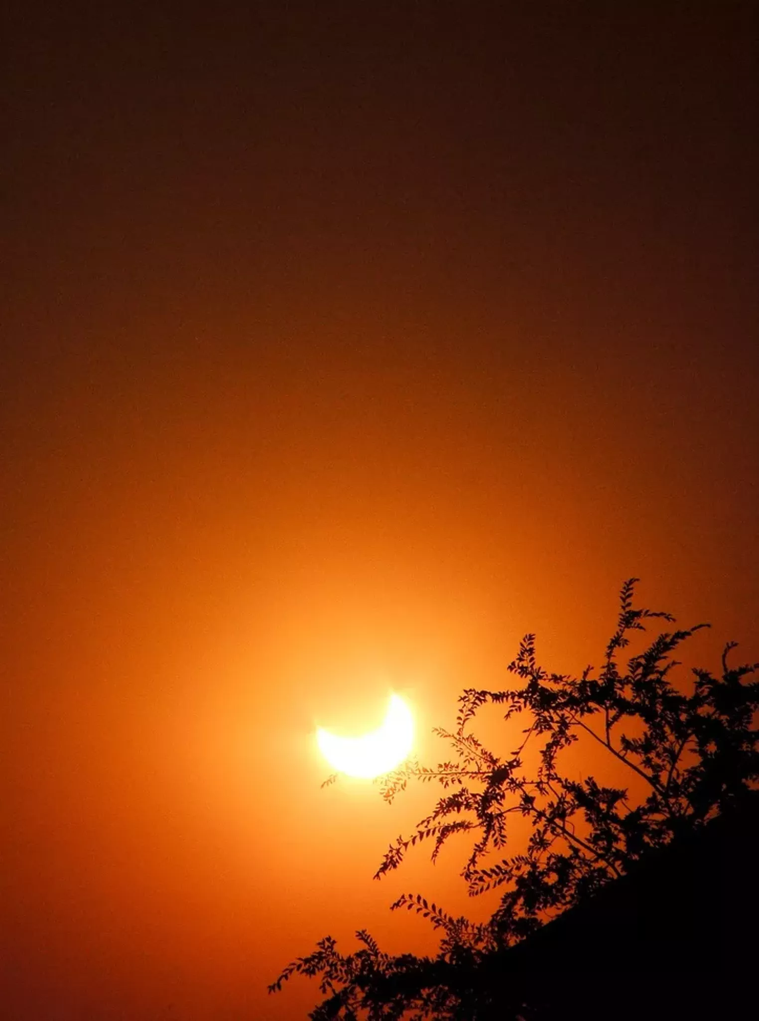 Annular Solar Eclipse in Pictures Phoenix Phoenix New Times The