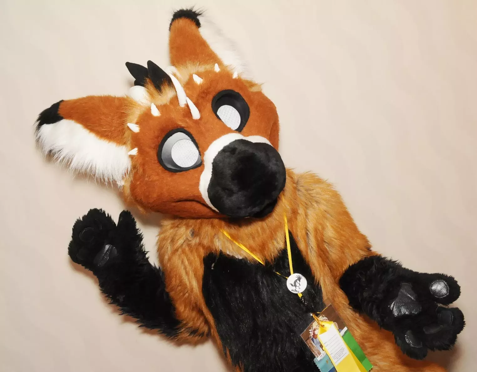 Arizona Fur Con 2013 Phoenix Phoenix New Times The Leading