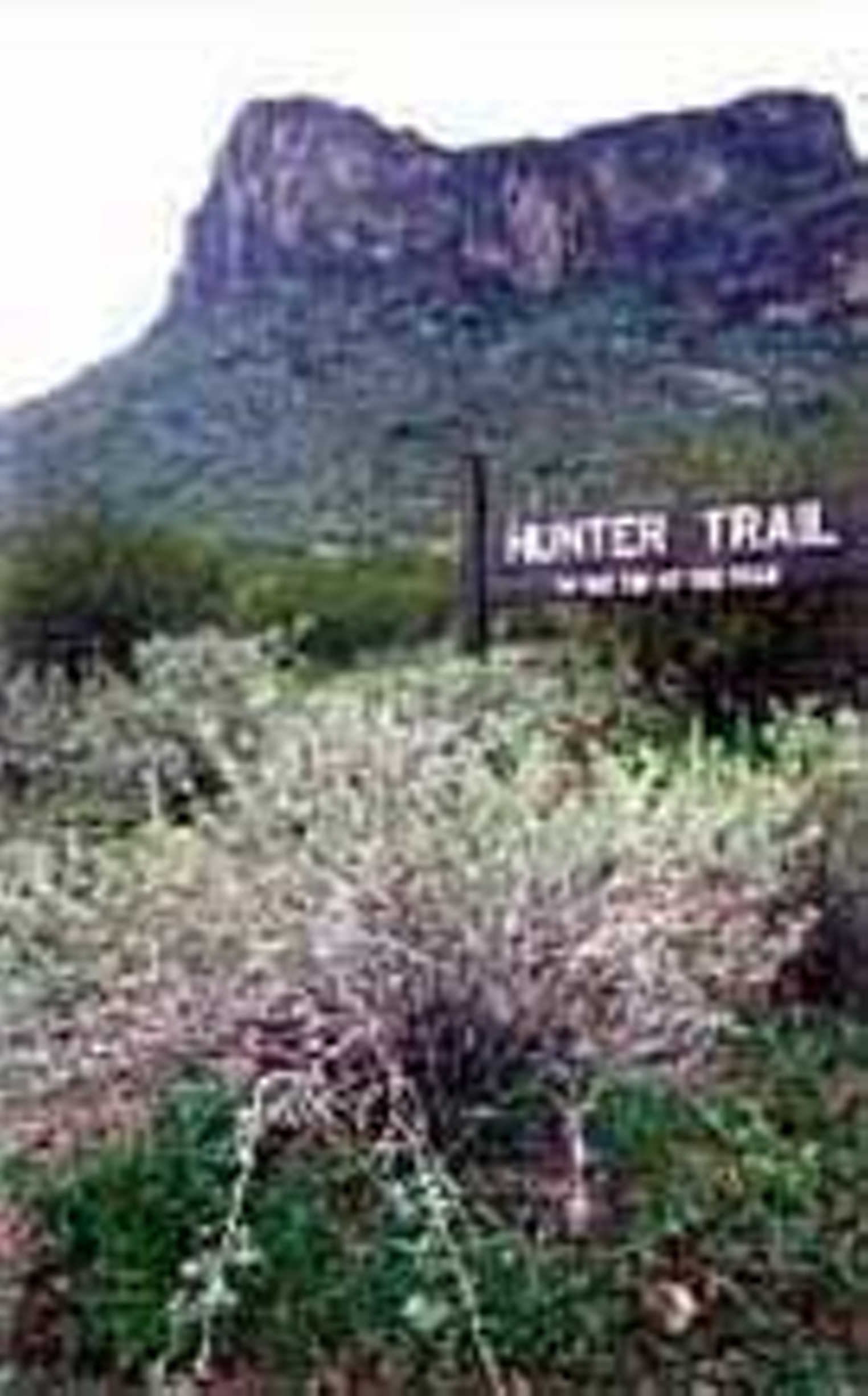 BEST SPRING DAY TRIP FOR THE FAMILY 2005 | Picacho Peak State Park | Arts &  Entertainment | Phoenix
