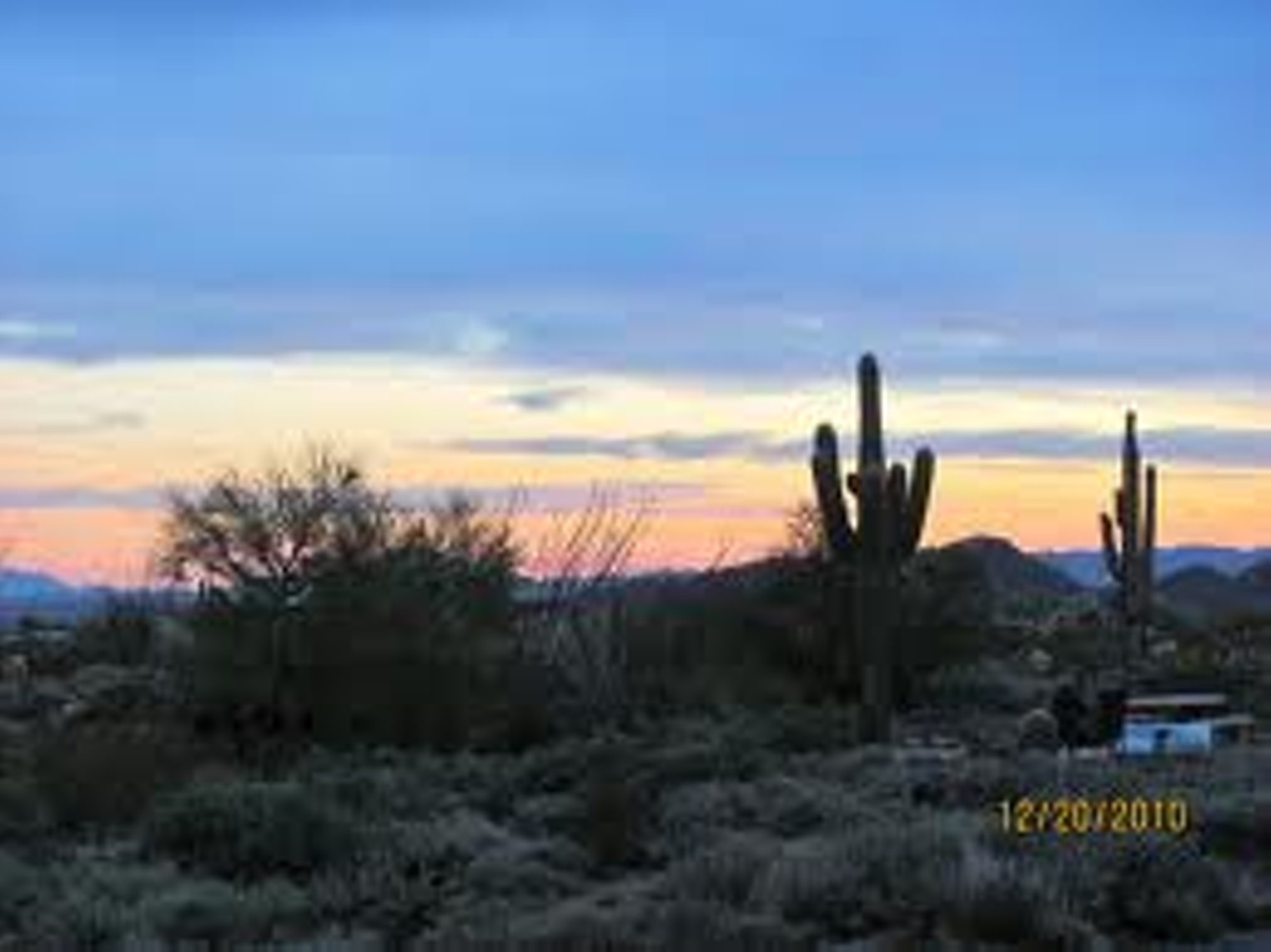 Shot Glass Arizona Scorpion Stinger Recipe on Glass Desert Cactus Hot Sun New 16 
