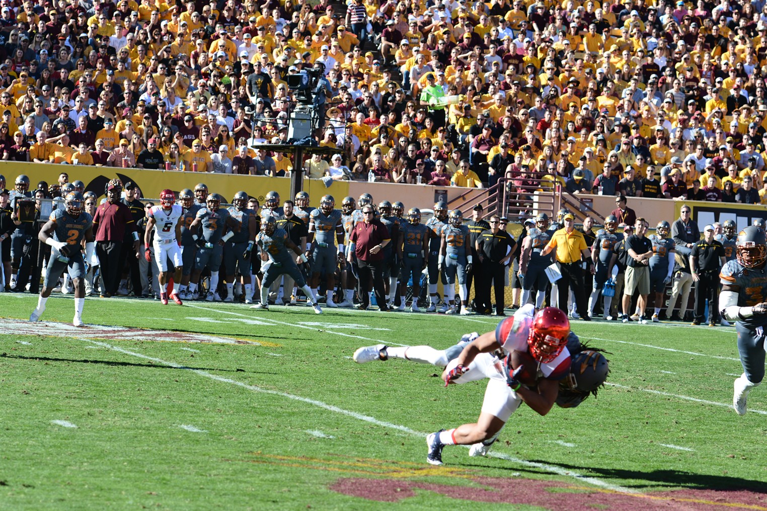 ASU vs. UofA Phoenix Phoenix New Times The Leading Independent