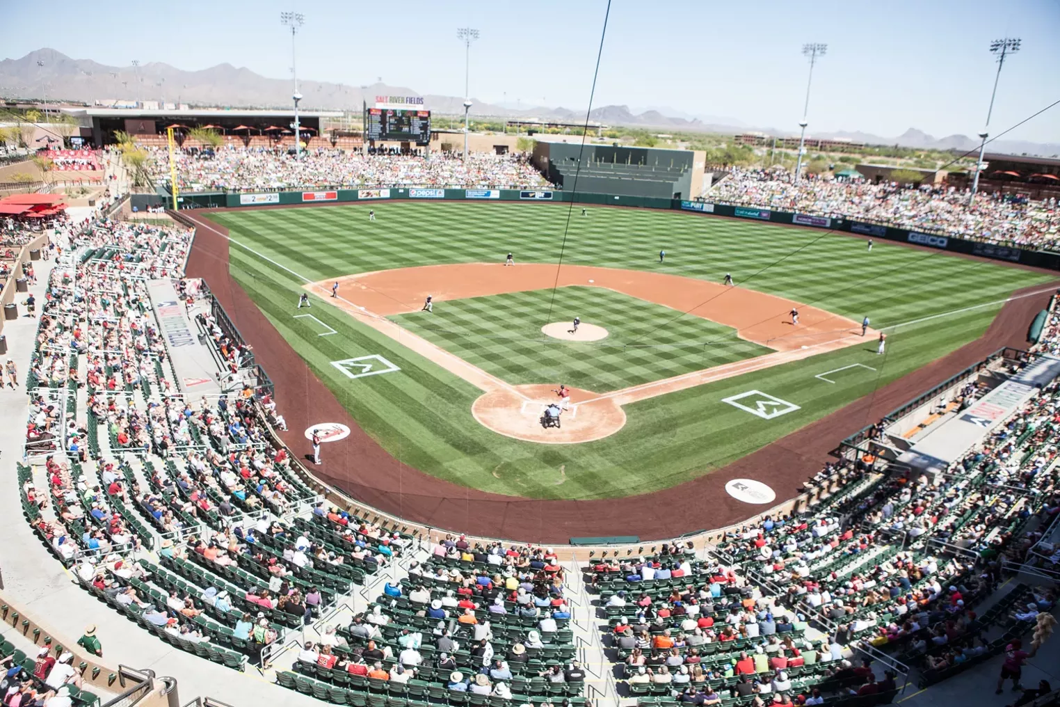 The Fresh Faces at a DBacks Spring Training Game Phoenix Phoenix