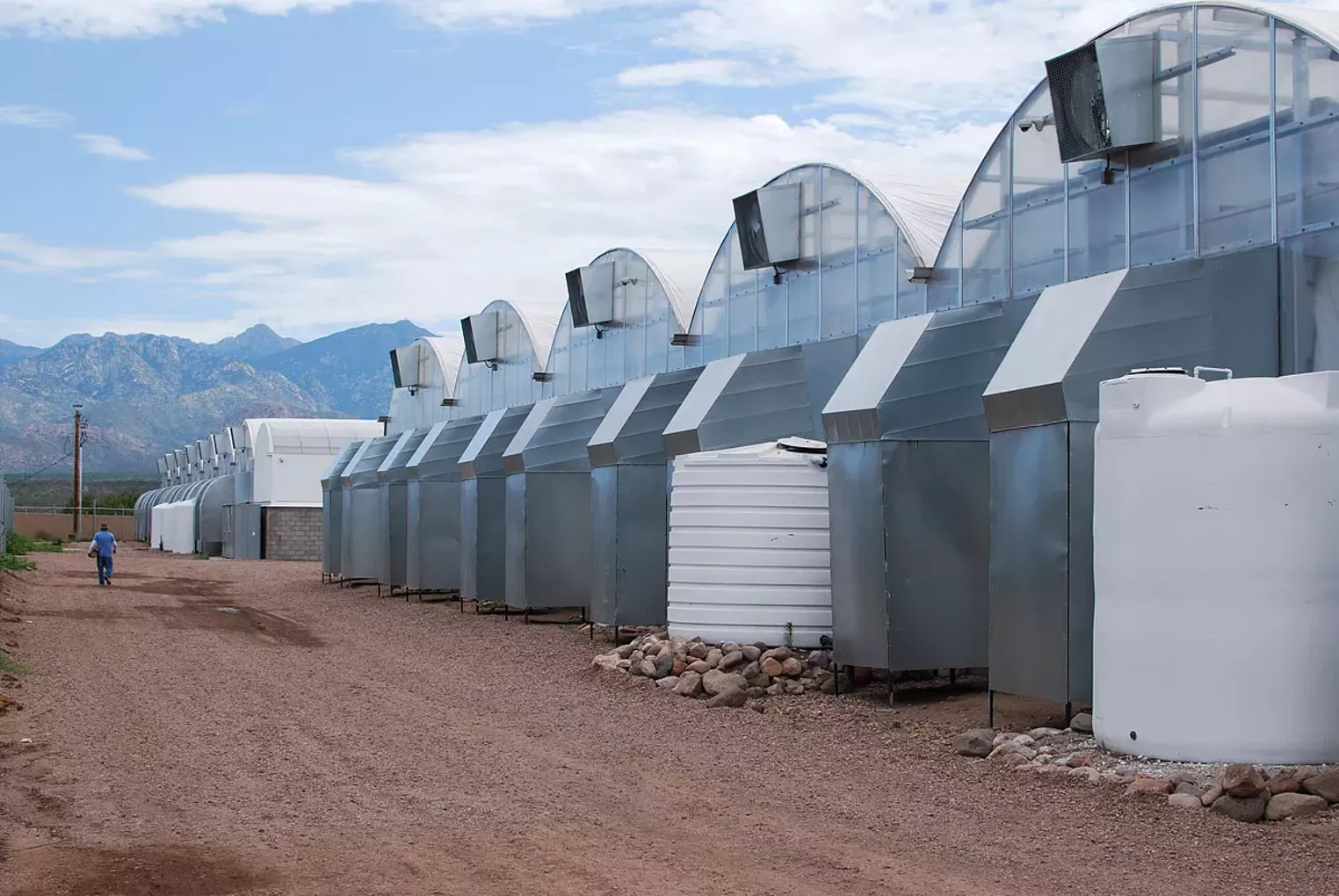 A Visit to Nature's AZ Medicines' Cannabis Greenhouse Phoenix