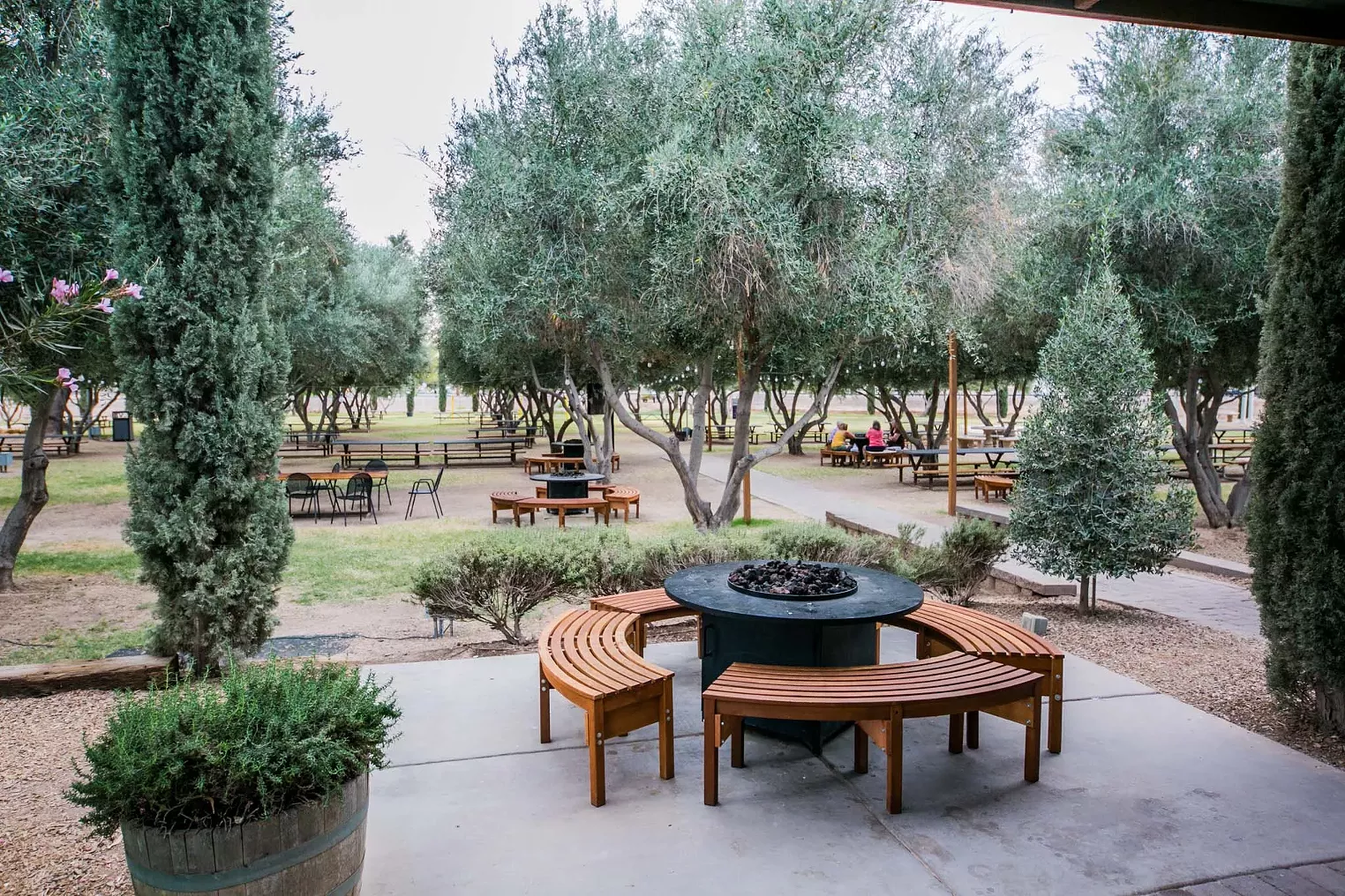 Visual Aid Top Restaurant Patios in the Greater Phoenix Phoenix New