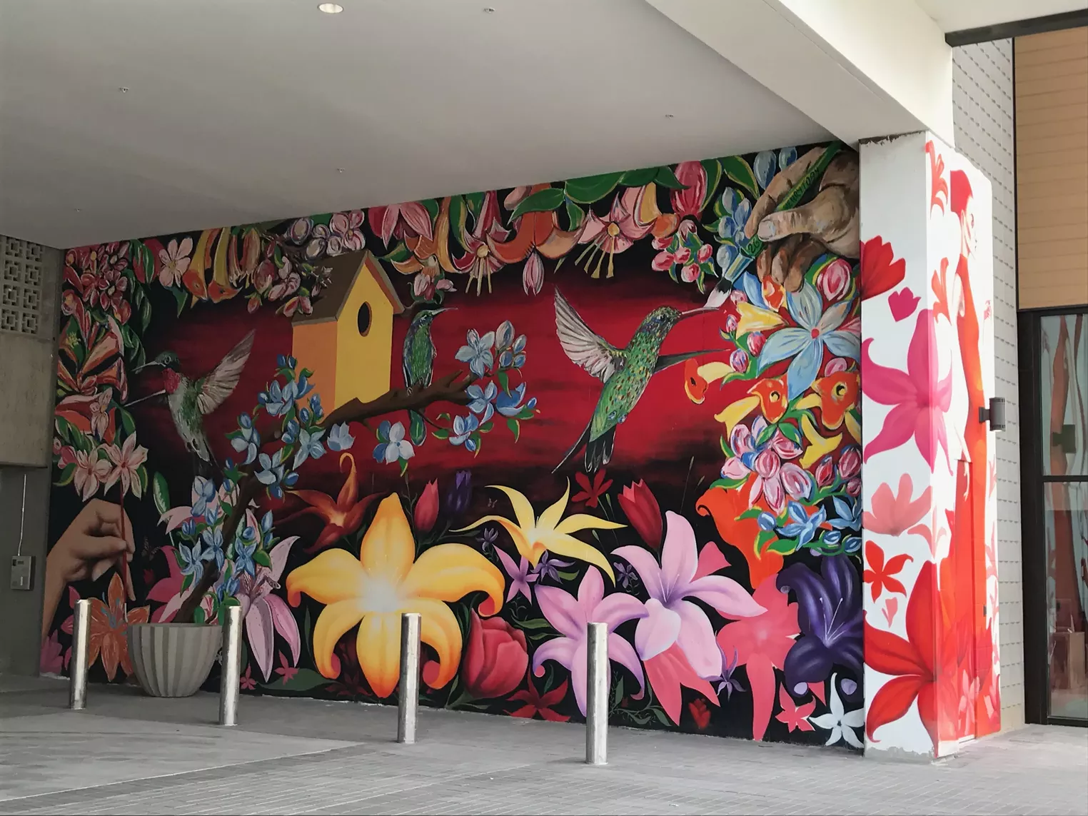 The Best New Murals We Saw in Metro Phoenix in 2017 Phoenix Phoenix