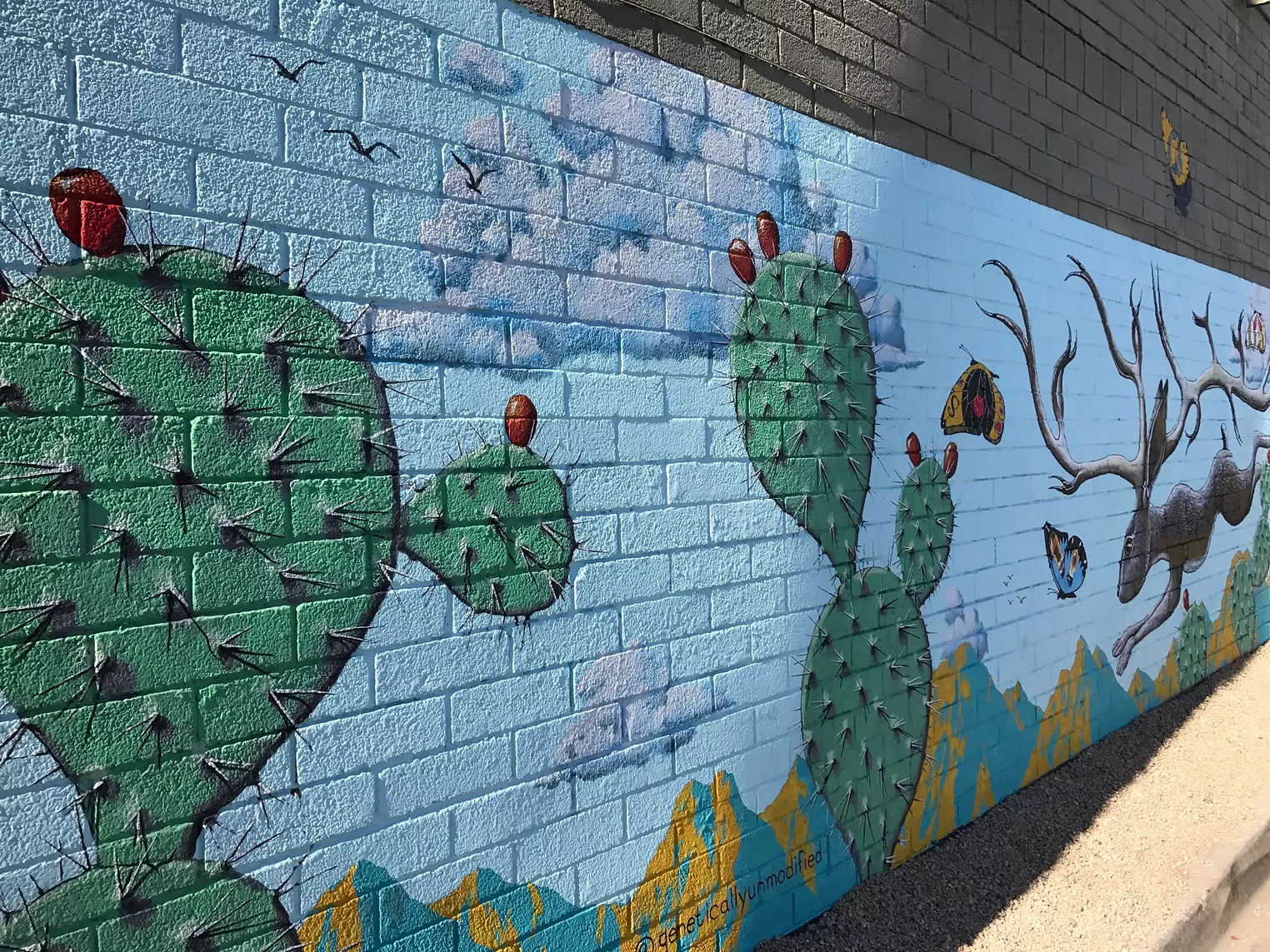 The Best New Murals We Saw in Metro Phoenix in 2017 Phoenix Phoenix