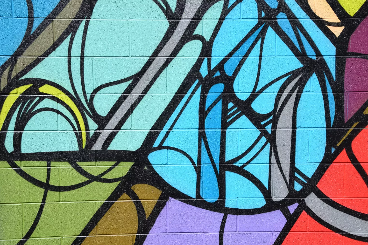 The Best New Murals We Saw in Metro Phoenix in 2017 Phoenix Phoenix New Times The Leading