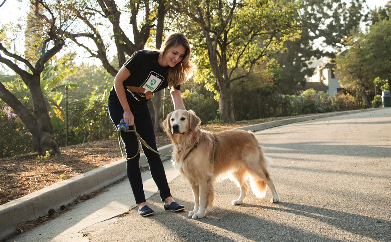 We Tried a New Uber-Style Dog Walking Service. Here's What Happened