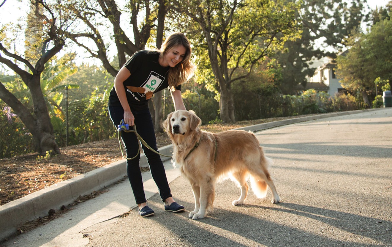 Phoenix was recently added to the 16 dog-friendly cities where Wag!, an on-demand dog walking service, is available, but we're not sure the service is top dog.