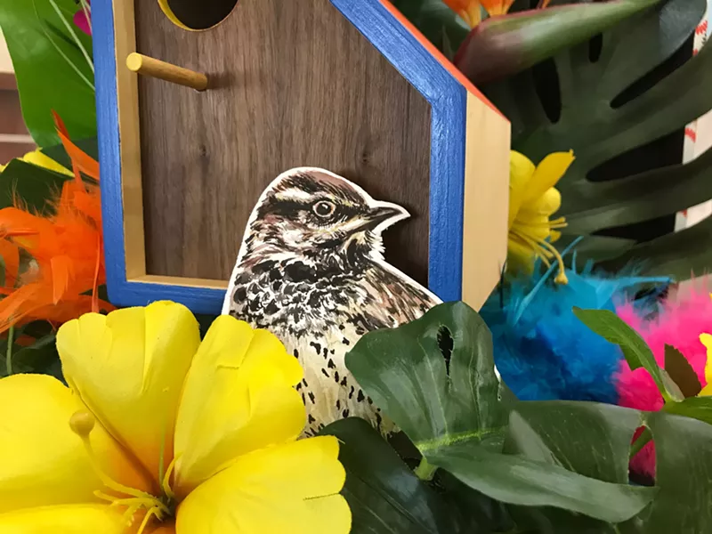 Image: Vignette near the entrance to "Bird Cloud Island."
