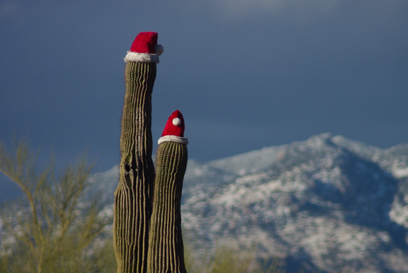 Here's how to rule the yule in Phoenix this year.