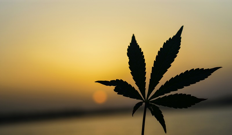 Daily Deals - Arizona Cannabis Society